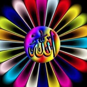 Meet your Posher, Layla